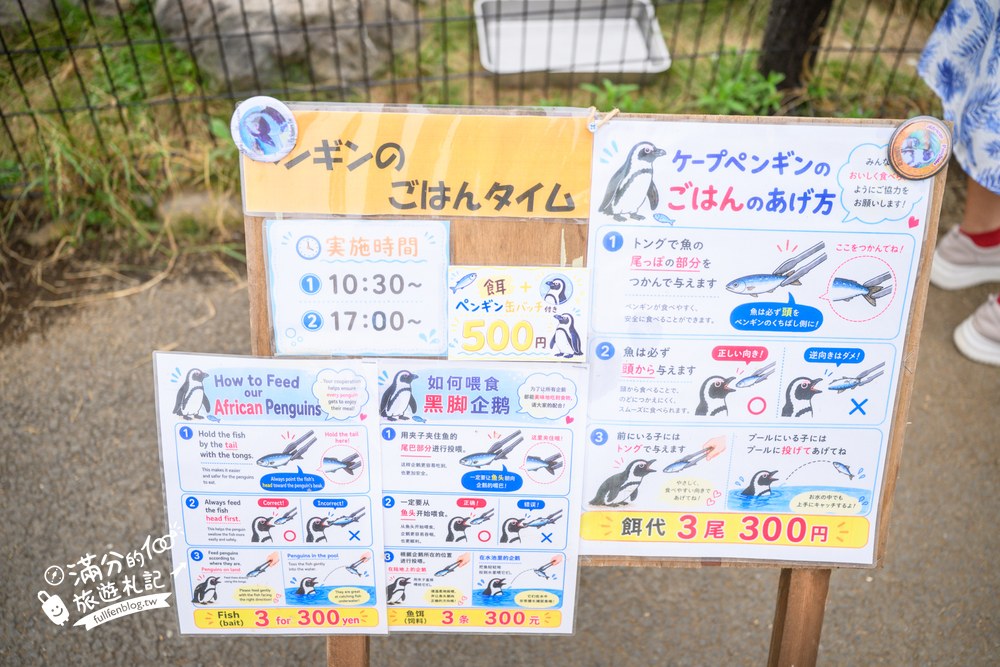 伊豆仙人掌動物園｜伊豆シャボテン動物公園｜企鵝與紅鶴區