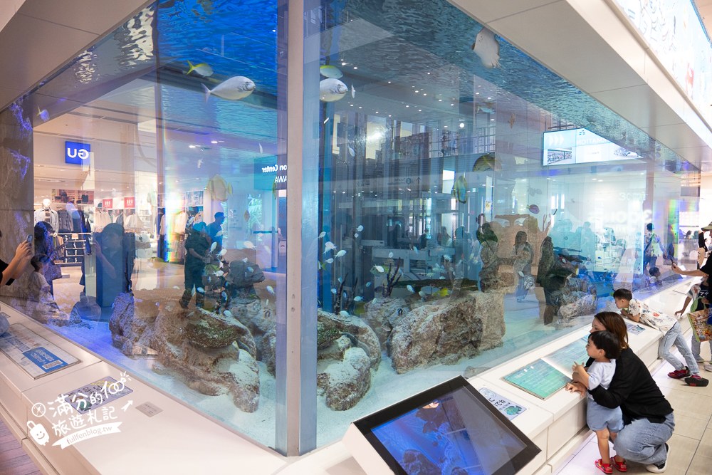 永旺夢樂城｜沖繩來客夢｜1樓來客夢水族館