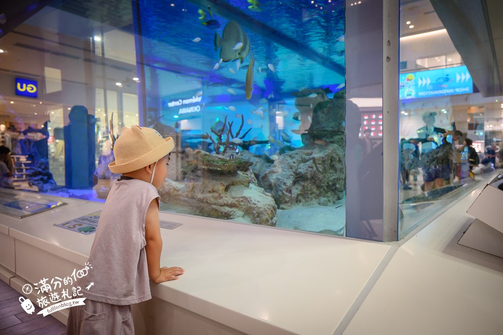 永旺夢樂城｜沖繩來客夢｜1樓來客夢水族館