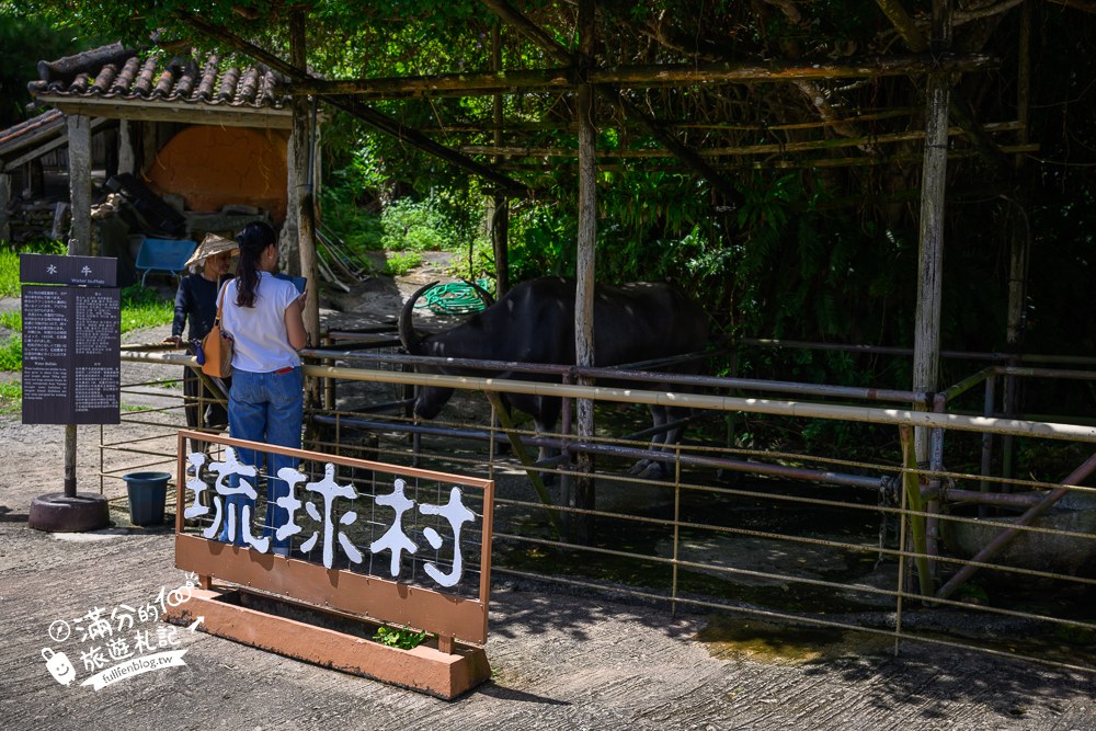 琉球村|水牛與傳統工藝手作區 琉球村|水牛與傳統工藝手作區