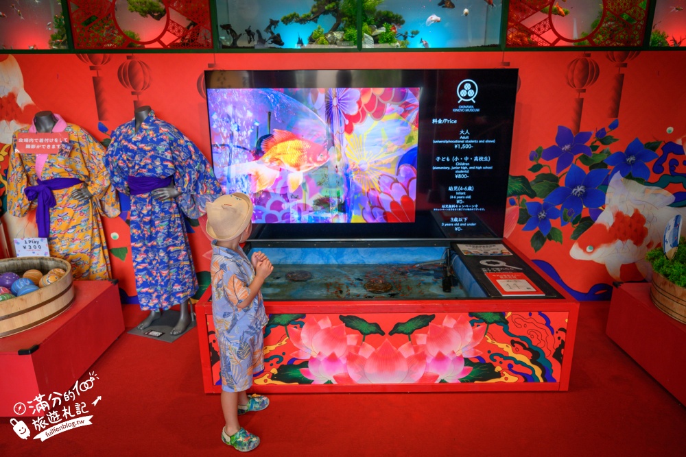【2026沖繩金魚博物館】OKINAWA KINGYO MUSEUM，8大夢幻金魚藝術展區、門票交通資訊！ASHIBINAA Outlet室內景點