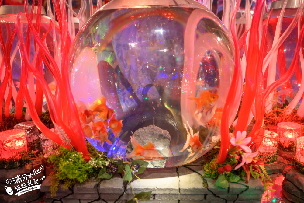 【2026沖繩金魚博物館】OKINAWA KINGYO MUSEUM，8大夢幻金魚藝術展區、門票交通資訊！ASHIBINAA Outlet室內景點