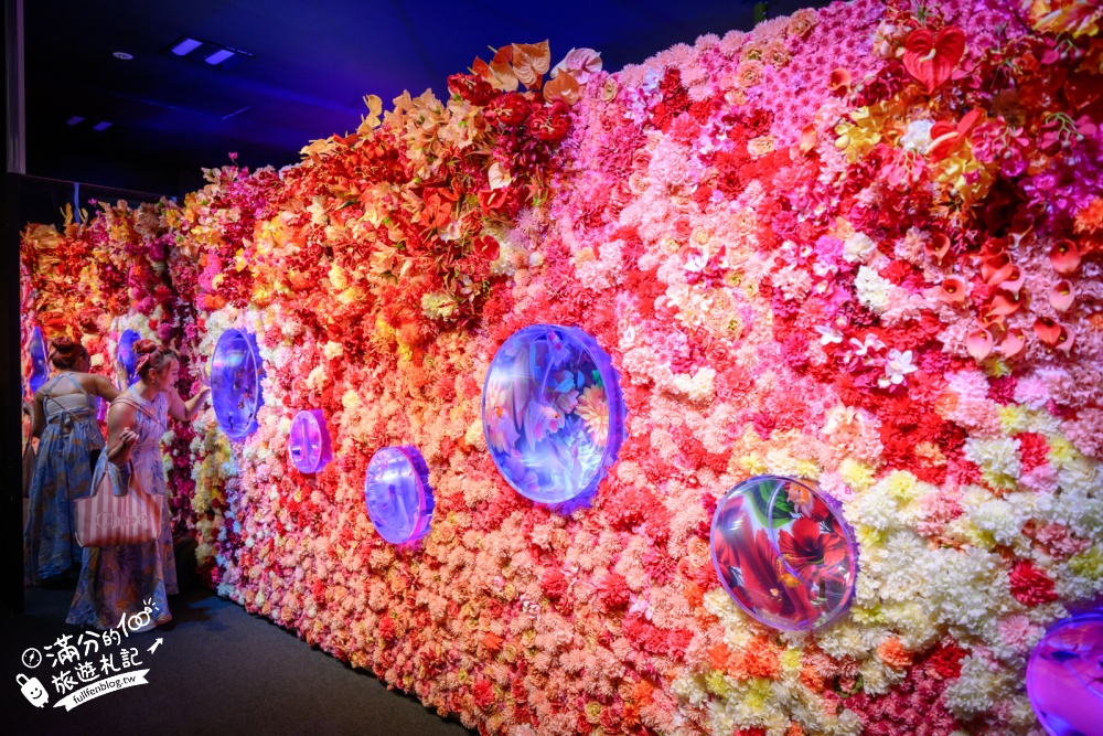 【2026沖繩金魚博物館】OKINAWA KINGYO MUSEUM，8大夢幻金魚藝術展區、門票交通資訊！ASHIBINAA Outlet室內景點