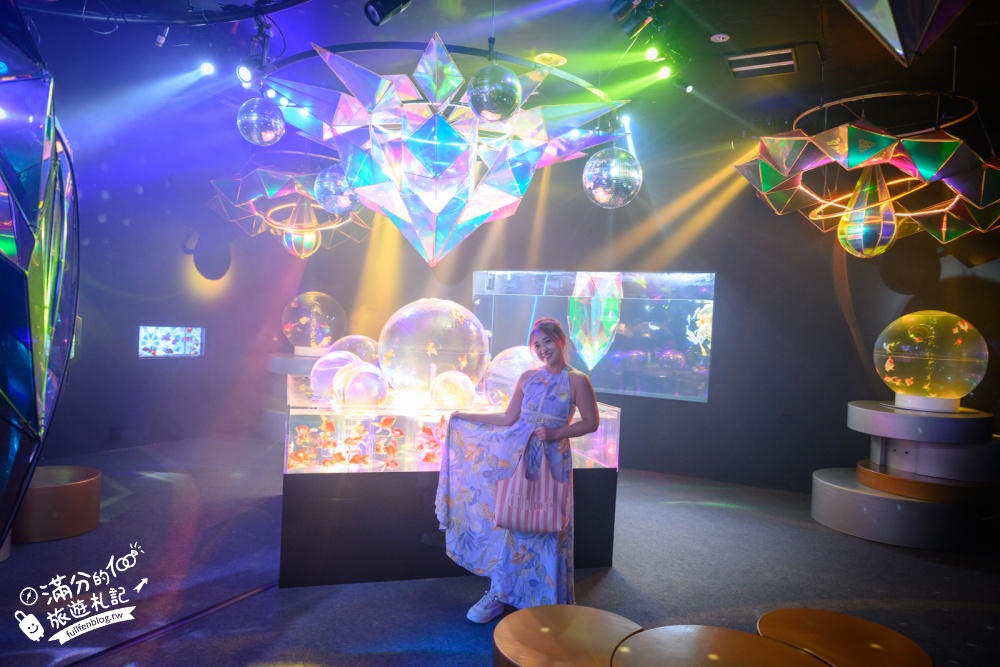 【2026沖繩金魚博物館】OKINAWA KINGYO MUSEUM，8大夢幻金魚藝術展區、門票交通資訊！ASHIBINAA Outlet室內景點