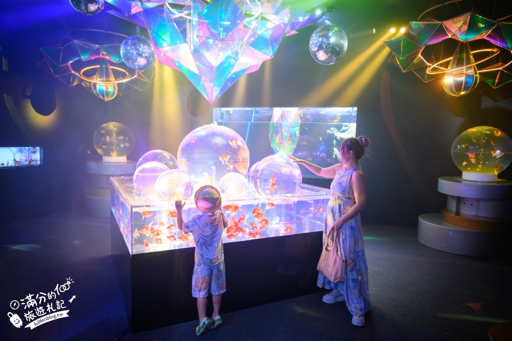 【2026沖繩金魚博物館】OKINAWA KINGYO MUSEUM，8大夢幻金魚藝術展區、門票交通資訊！ASHIBINAA Outlet室內景點