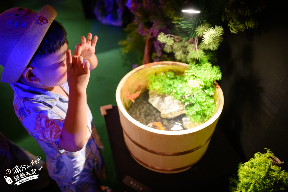 【2026沖繩金魚博物館】OKINAWA KINGYO MUSEUM，8大夢幻金魚藝術展區、門票交通資訊！ASHIBINAA Outlet室內景點