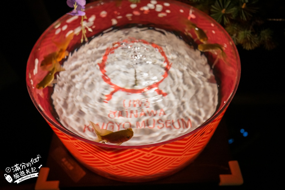 【2026沖繩金魚博物館】OKINAWA KINGYO MUSEUM，8大夢幻金魚藝術展區、門票交通資訊！ASHIBINAA Outlet室內景點