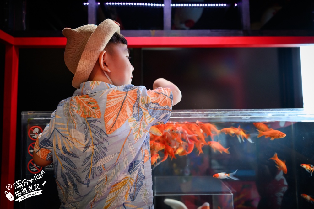 【2026沖繩金魚博物館】OKINAWA KINGYO MUSEUM，8大夢幻金魚藝術展區、門票交通資訊！ASHIBINAA Outlet室內景點