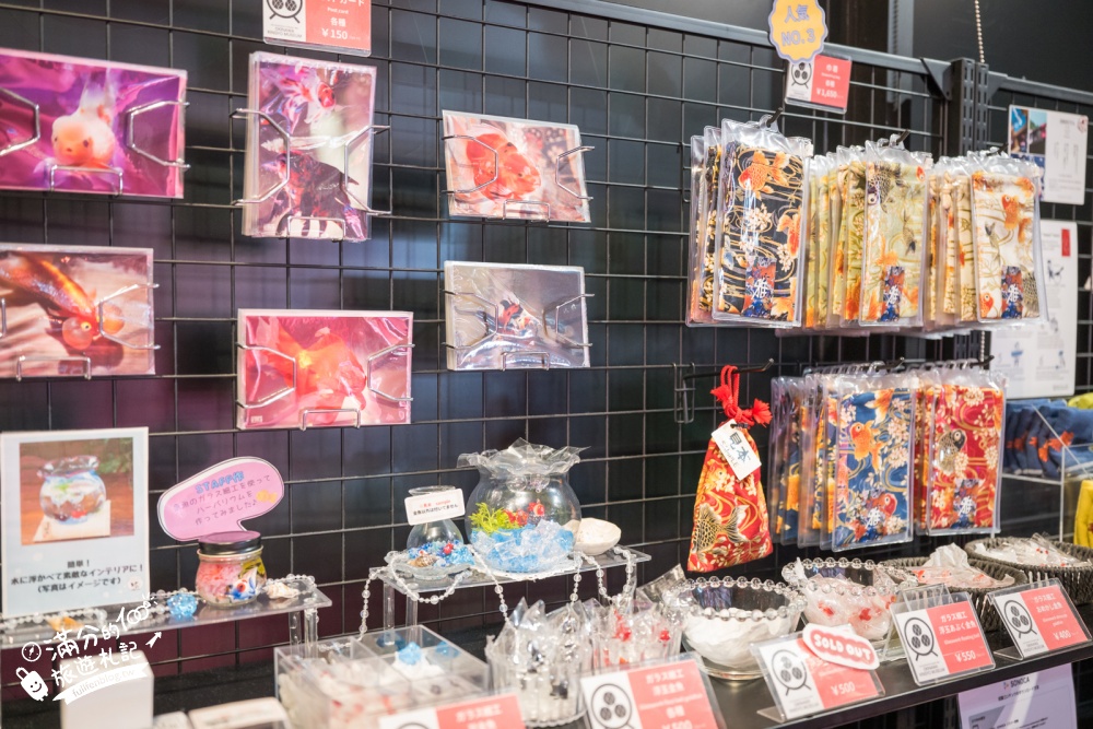 【2026沖繩金魚博物館】OKINAWA KINGYO MUSEUM，8大夢幻金魚藝術展區、門票交通資訊！ASHIBINAA Outlet室內景點