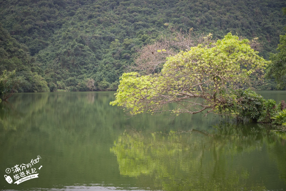 【宜蘭大湖風景區】封閉6年重新開放！免門票漫遊員山天鵝湖，湖岸步道賞山水倒影