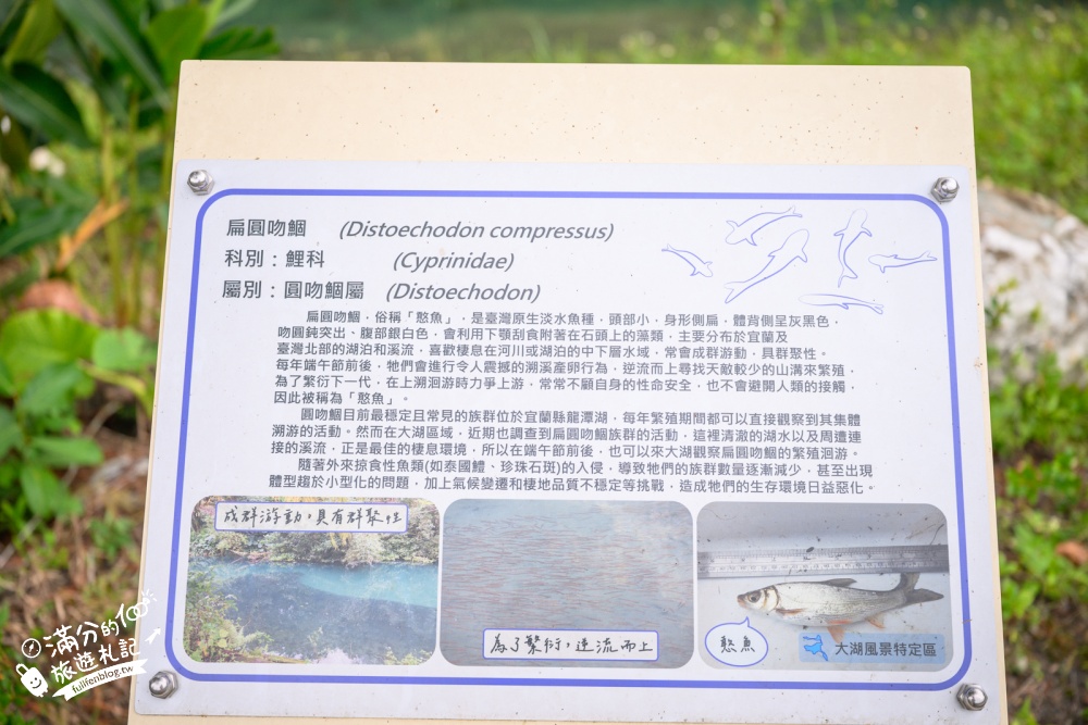 【宜蘭大湖風景區】封閉6年重新開放！免門票漫遊員山天鵝湖，湖岸步道賞山水倒影