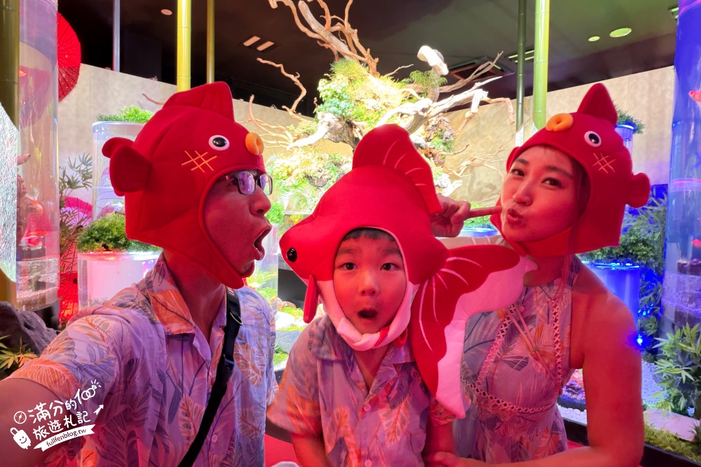 【2026沖繩金魚博物館】OKINAWA KINGYO MUSEUM，8大夢幻金魚藝術展區、門票交通資訊！ASHIBINAA Outlet室內景點