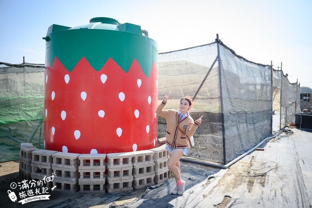 雲林景點【福家草莓果園】免門票有兒童遊戲區的高架草莓園.必吃草莓冰淇淋和草莓大福!