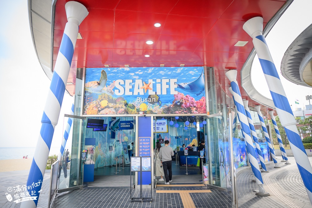 釜山景點》釜山水族館SEA LIFE BUSAN交通攻略.門票資訊~海雲台雨天備案景點,釜山親子景點,看企鵝.鯊魚~漫步海底隧道!