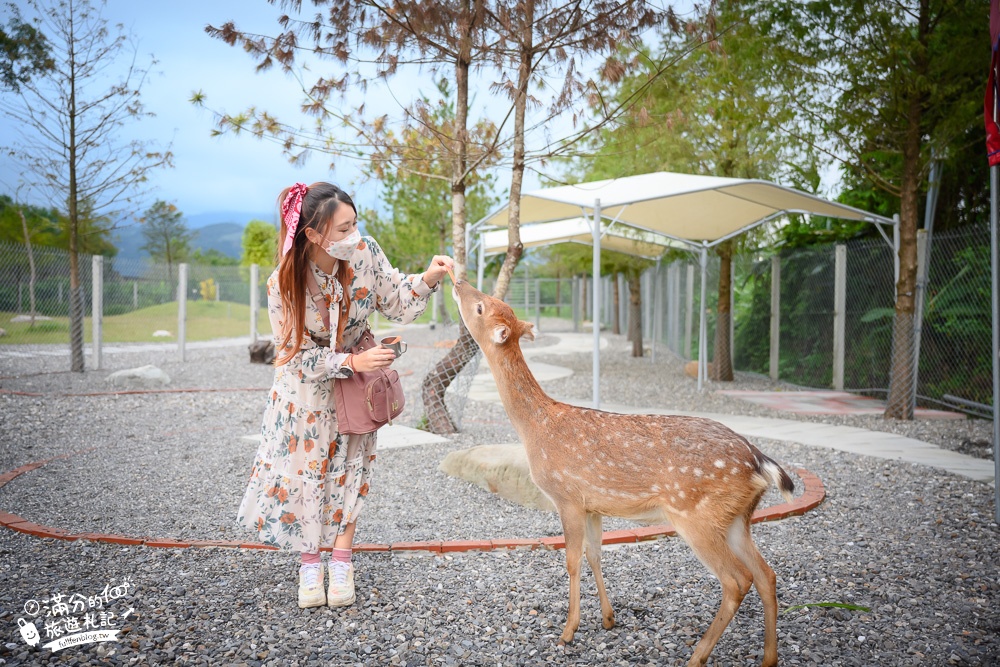 宜蘭景點|鹿爺爺|宜蘭餵鹿親子秘境,未滿2歲免費入園,看水豚泡澡,跳跳羊耍萌~還能喝咖啡下午茶!