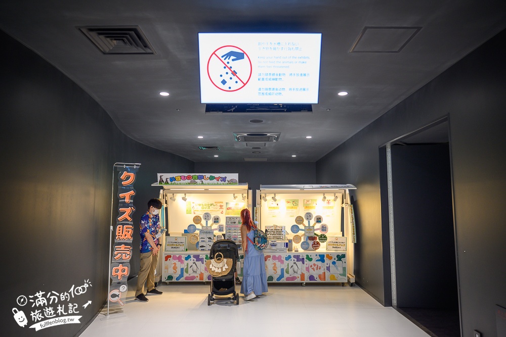 【2025沖繩DMM Kariyushi水族館】最新門票&玩樂攻略,餵企鵝.餵樹懶.摸鯊魚,拍海蝕洞,逛iias 沖繩豐崎,沖繩全室內親子水族館帶你玩!