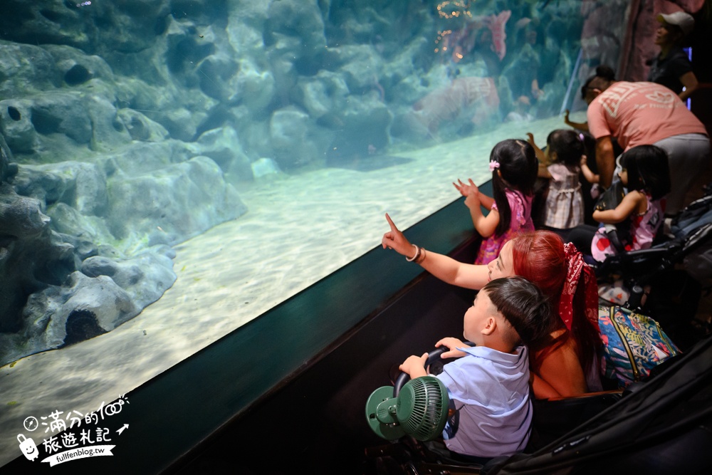 【2025沖繩DMM Kariyushi水族館】最新門票&玩樂攻略,餵企鵝.餵樹懶.摸鯊魚,拍海蝕洞,逛iias 沖繩豐崎,沖繩全室內親子水族館帶你玩!