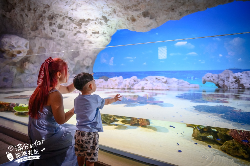 【2025沖繩DMM Kariyushi水族館】最新門票&玩樂攻略,餵企鵝.餵樹懶.摸鯊魚,拍海蝕洞,逛iias 沖繩豐崎,沖繩全室內親子水族館帶你玩!
