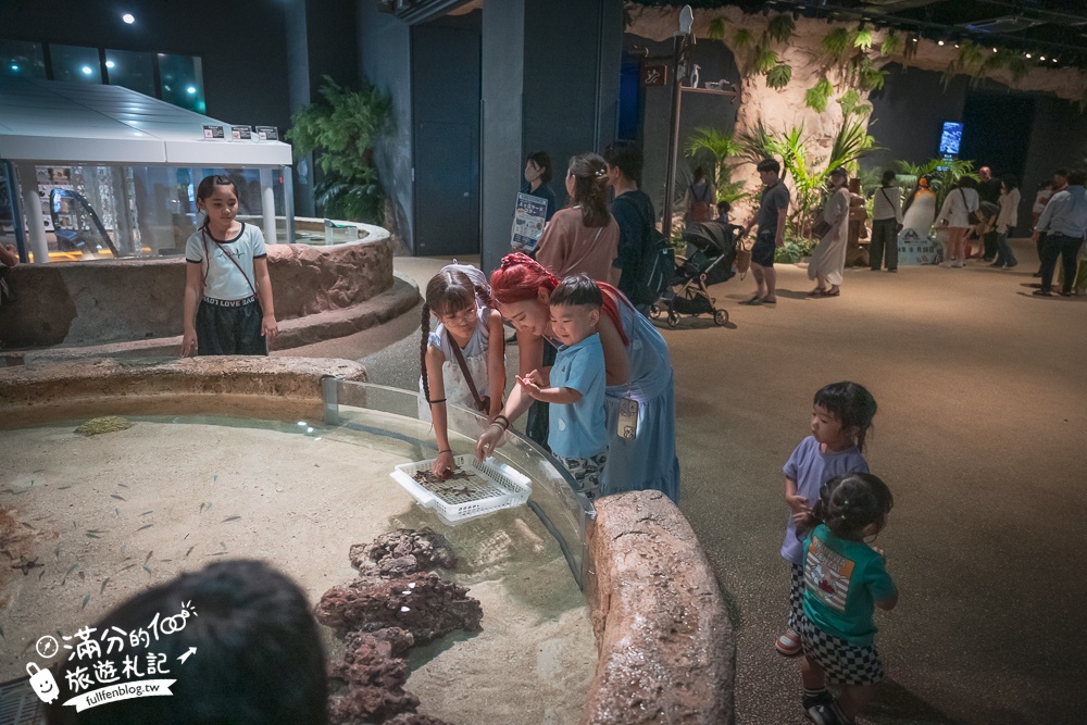 【2025沖繩DMM Kariyushi水族館】最新門票&玩樂攻略,餵企鵝.餵樹懶.摸鯊魚,拍海蝕洞,逛iias 沖繩豐崎,沖繩全室內親子水族館帶你玩!