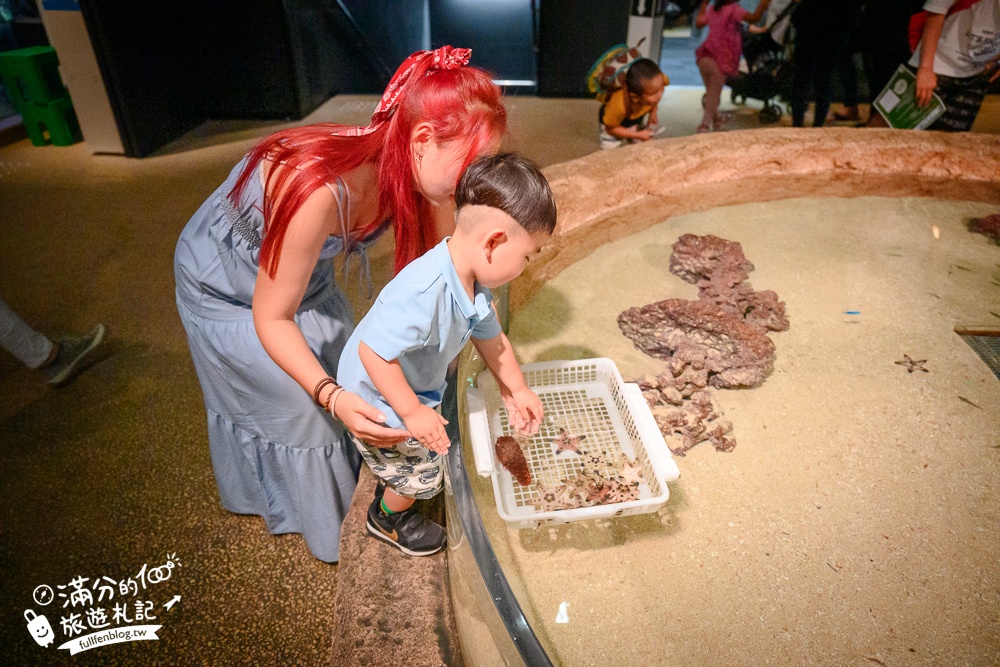 【2025沖繩DMM Kariyushi水族館】最新門票&玩樂攻略,餵企鵝.餵樹懶.摸鯊魚,拍海蝕洞,逛iias 沖繩豐崎,沖繩全室內親子水族館帶你玩!