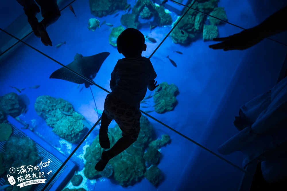 【2025沖繩DMM Kariyushi水族館】最新門票&玩樂攻略,餵企鵝.餵樹懶.摸鯊魚,拍海蝕洞,逛iias 沖繩豐崎,沖繩全室內親子水族館帶你玩!