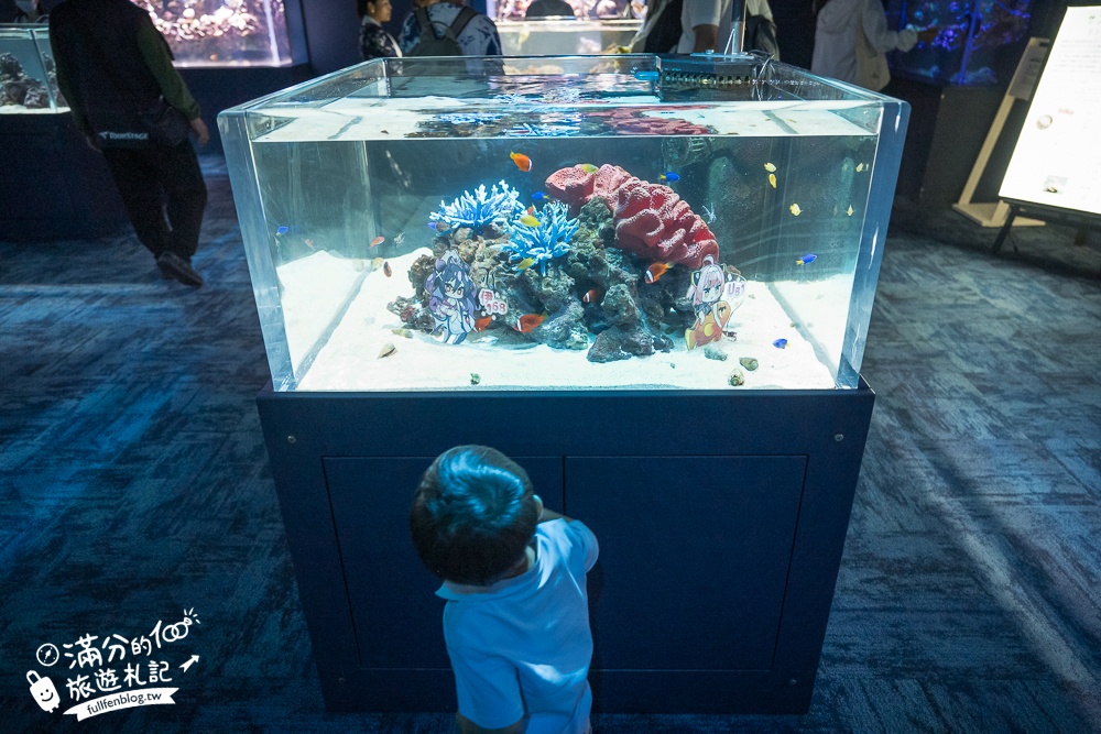 【2025沖繩DMM Kariyushi水族館】最新門票&玩樂攻略,餵企鵝.餵樹懶.摸鯊魚,拍海蝕洞,逛iias 沖繩豐崎,沖繩全室內親子水族館帶你玩!