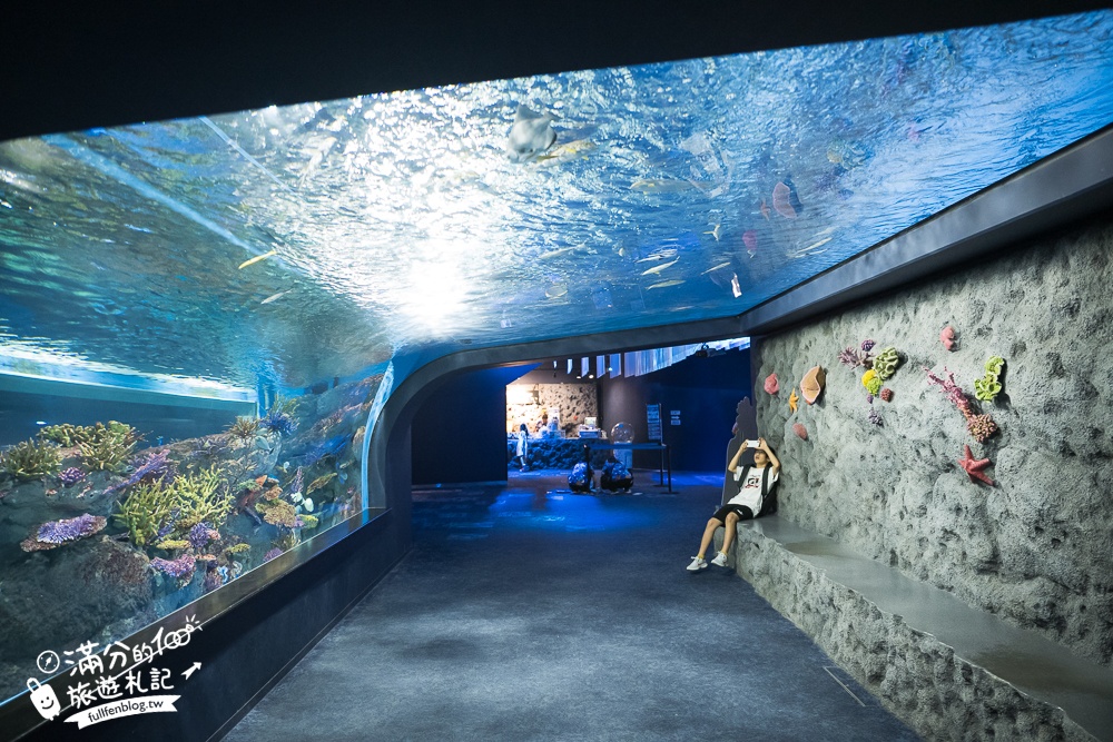 【2025沖繩DMM Kariyushi水族館】最新門票&玩樂攻略,餵企鵝.餵樹懶.摸鯊魚,拍海蝕洞,逛iias 沖繩豐崎,沖繩全室內親子水族館帶你玩!