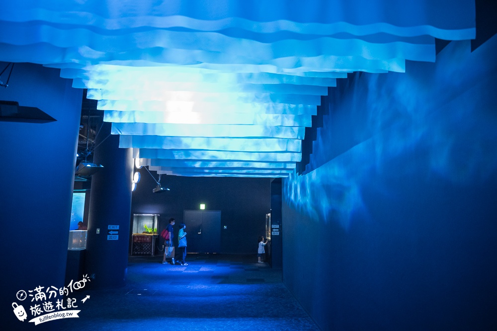 【2025沖繩DMM Kariyushi水族館】最新門票&玩樂攻略,餵企鵝.餵樹懶.摸鯊魚,拍海蝕洞,逛iias 沖繩豐崎,沖繩全室內親子水族館帶你玩!