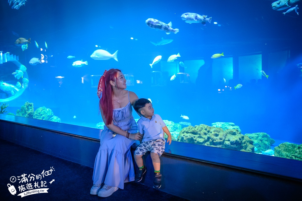 【2025沖繩DMM Kariyushi水族館】最新門票&玩樂攻略,餵企鵝.餵樹懶.摸鯊魚,拍海蝕洞,逛iias 沖繩豐崎,沖繩全室內親子水族館帶你玩!