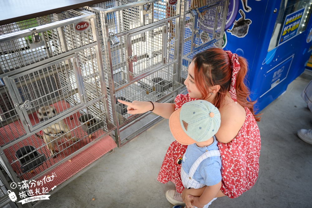高雄【嘎逼&牛奶互動園區】高雄可愛動物農場,水豚羊駝小鹿狐獴大集合!