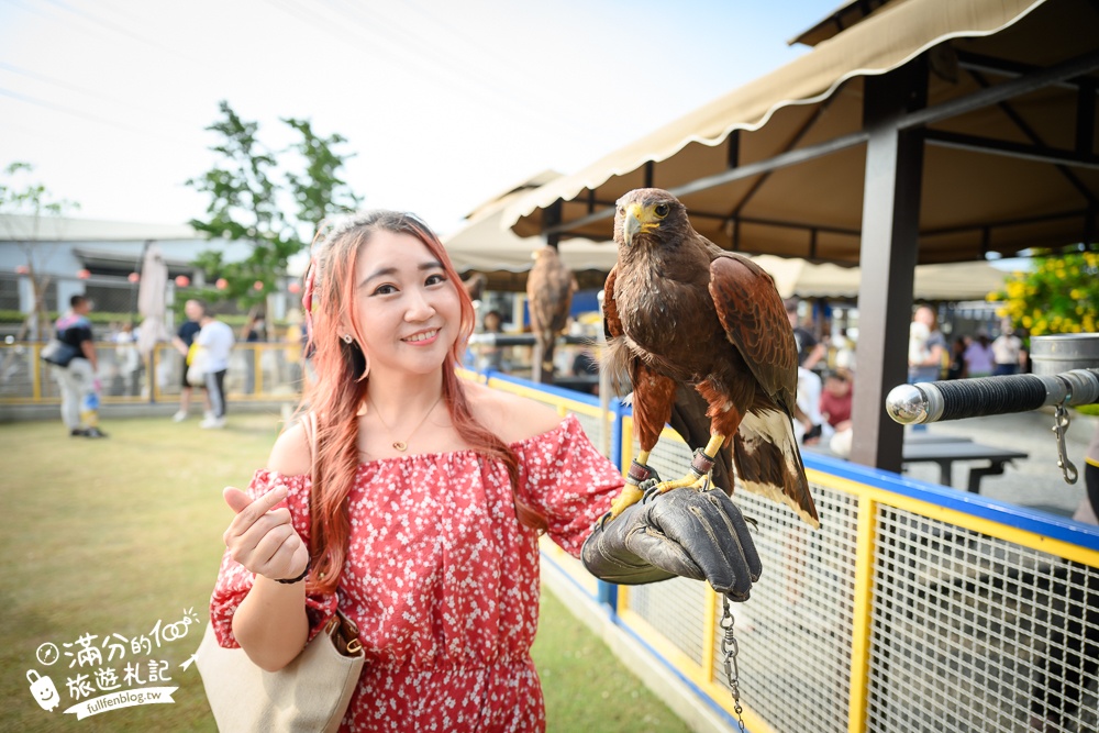 高雄【嘎逼&牛奶互動園區】高雄可愛動物農場,水豚羊駝小鹿狐獴大集合!