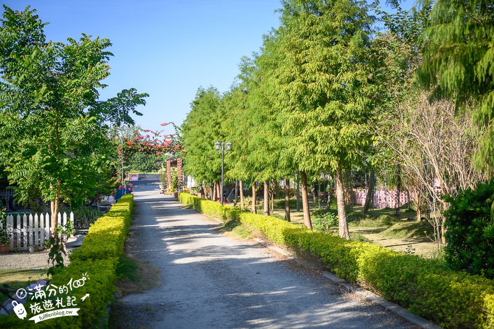 【彰化星錡休閒農場】最新門票資訊.彰化親子景點.體驗餵食可愛小動物,還能漫步落羽松大道!