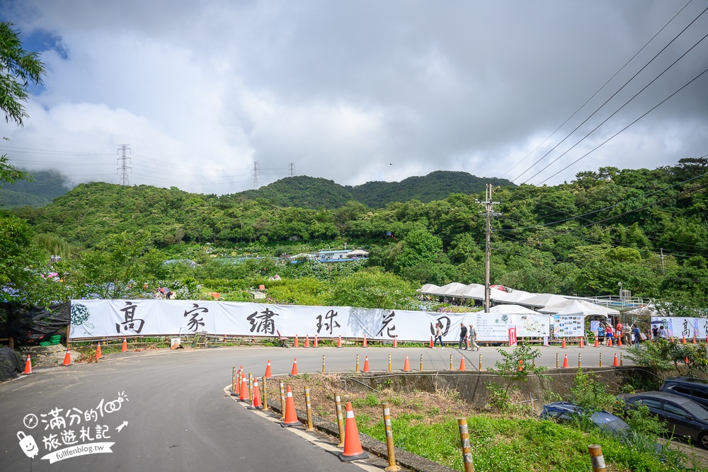 【高家繡球花田萬里第三園區】2025最新營業時間＆門票資訊.交通停車方式,超過8000坪繡球花海好夢幻!