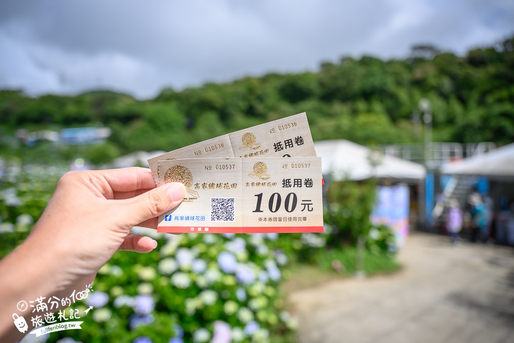 【高家繡球花田萬里第三園區】2025最新營業時間＆門票資訊.交通停車方式,超過8000坪繡球花海好夢幻!