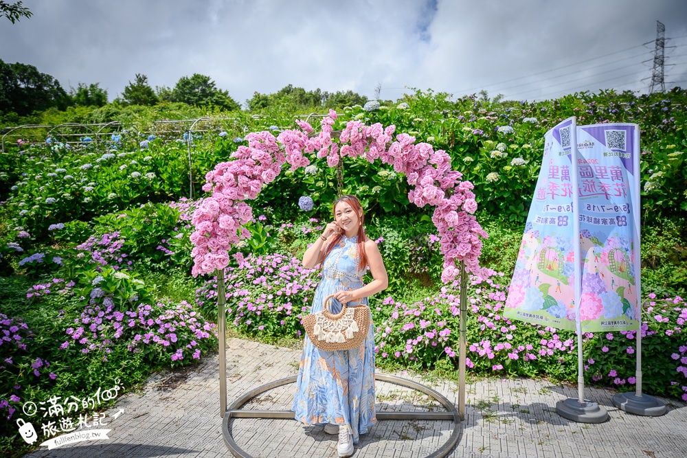 【高家繡球花田萬里第三園區】2025最新營業時間＆門票資訊.交通停車方式,超過8000坪繡球花海好夢幻!