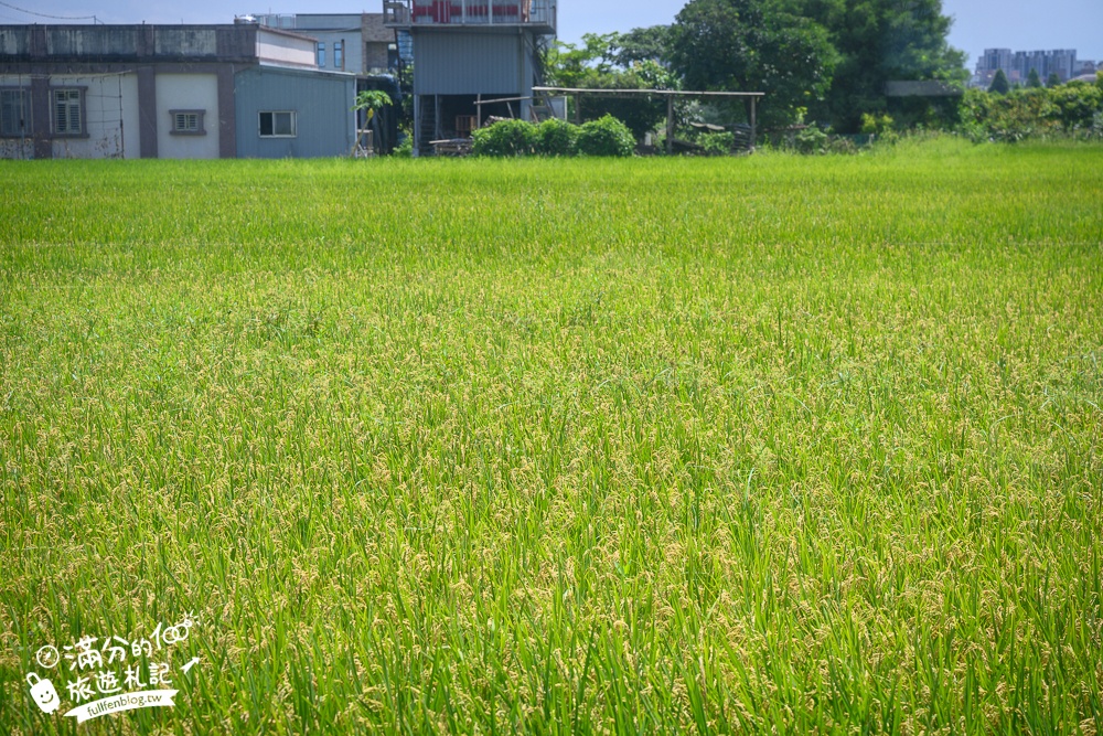 2024宜蘭新景點【頭等倉】用頭來玩遊戲的宜蘭室內親子館,16個關卡趣味十足,出人頭地就在這一刻!