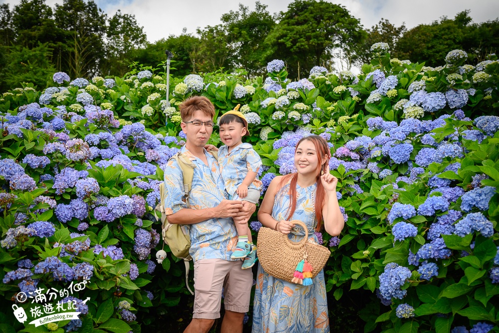 【2025繡球花景點懶人包】全台TOP18個繡球花海景點推薦.花期更新,周邊順遊景點攻略!
