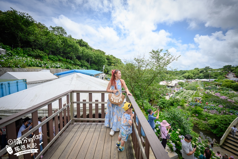 【高家繡球花田萬里第三園區】2025最新營業時間＆門票資訊.交通停車方式,超過8000坪繡球花海好夢幻!