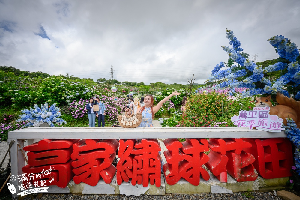 【2025陽明山繡球花賞花攻略】TOOP8間竹子湖繡球花園.花期整理,周邊景點住宿玩樂推薦!
