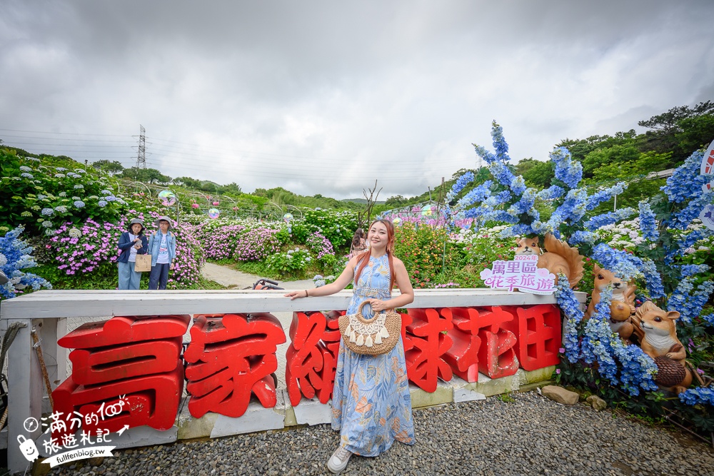 【高家繡球花田萬里第三園區】2025最新營業時間＆門票資訊.交通停車方式,超過8000坪繡球花海好夢幻!