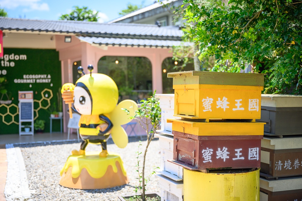 南投景點|蜜蜂王國旗艦店(免門票)免費嚐蜂蜜.玩拍蜜蜂公仔.3D彩繪牆~在粉紅小屋裡下午茶!