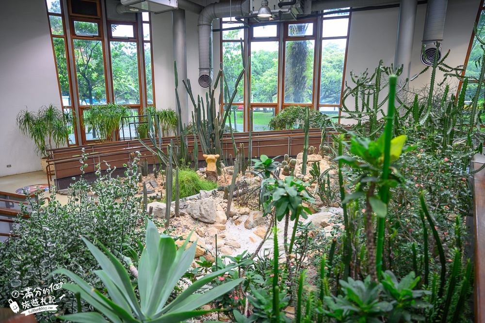 台北景點|臺北典藏植物園(免門票)城市裡的玻璃花坊,漫步熱帶雨林享受森林浴!