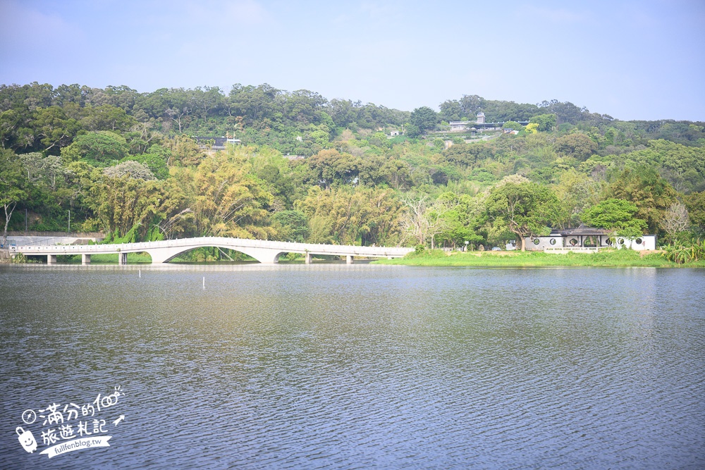 新竹景點|青草湖(免門票)新竹八景.環湖步道.踩天鵝.玩立槳.走水上步橋~城市裡的湖畔仙境!
