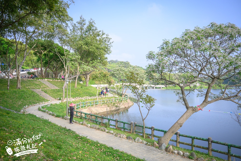新竹景點|青草湖(免門票)新竹八景.環湖步道.踩天鵝.玩立槳.走水上步橋~城市裡的湖畔仙境!