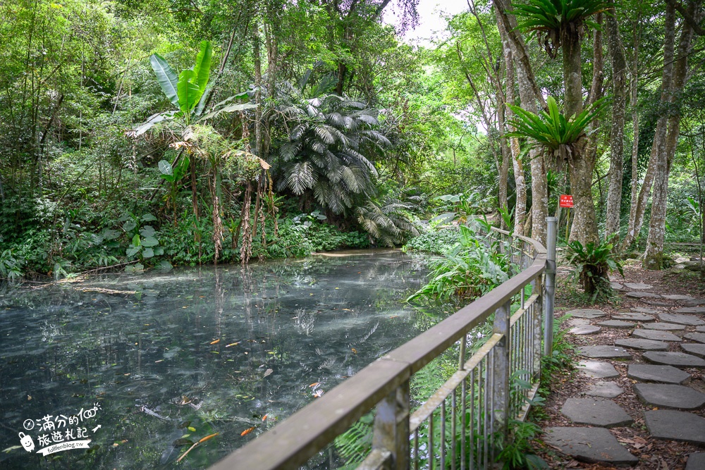苗栗景點|四十二份湧泉自然生態步道(免門票)步行15分即達,充滿仙氣的夢幻泉池!