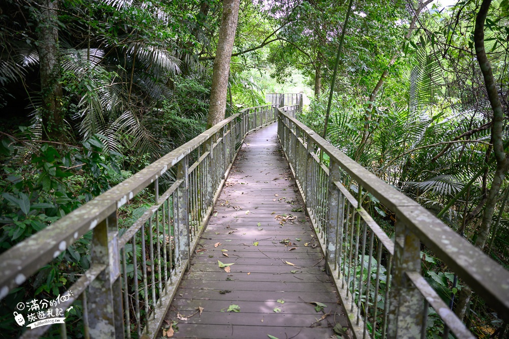 苗栗景點|四十二份湧泉自然生態步道(免門票)步行15分即達,充滿仙氣的夢幻泉池!