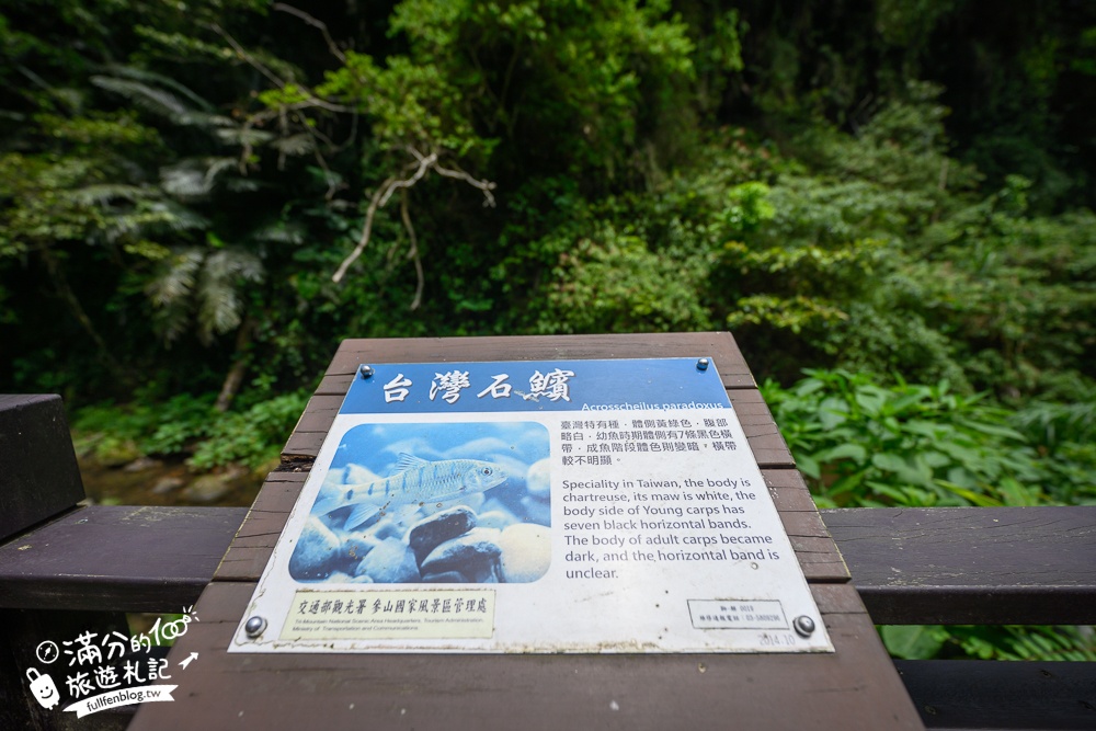 新竹【水濂洞步道】獅頭山裡的天然洞穴,10分鐘就能抵達的岩洞秘境,隱身百年寺廟有拜有保佑!