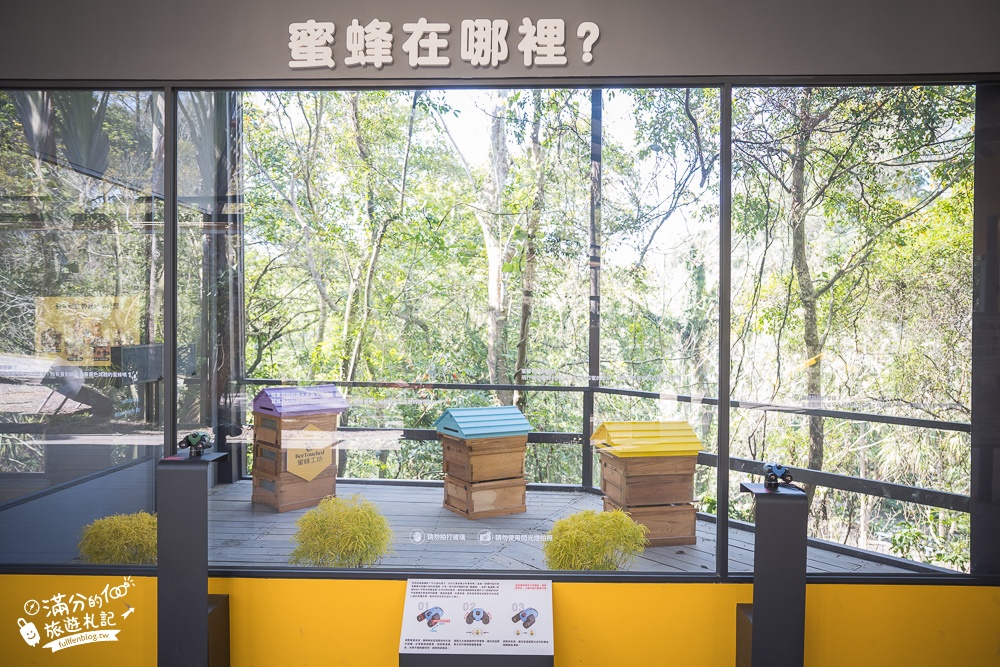 新竹景點｜綠世界生態農場怎麼玩？門票資訊.玩樂攻略,2023最新蜜蜂星球可愛又童趣!