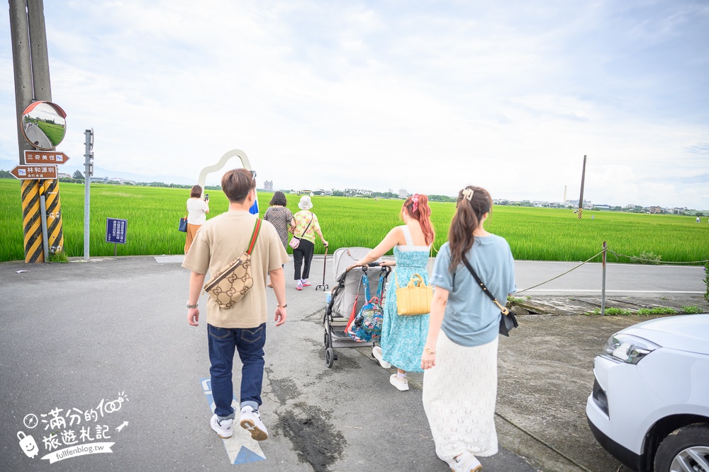 【宜蘭三奇美徑】冬山伯朗大道,宜蘭冬山稻間美徑,大自然絕美的彩稻布畫!