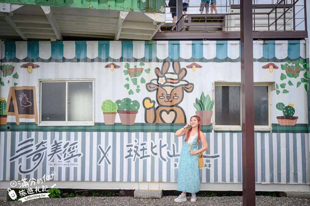 【宜蘭三奇美徑】冬山伯朗大道,宜蘭冬山稻間美徑,大自然絕美的彩稻布畫!